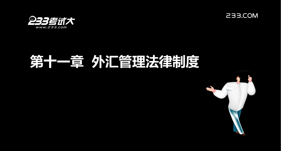 注册会计师考试各章讲解经济法第十一章外汇管理法律制度.ppt_第2页