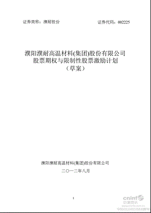 濮耐股份：股票期权与限制性股票激励计划（草案） .ppt