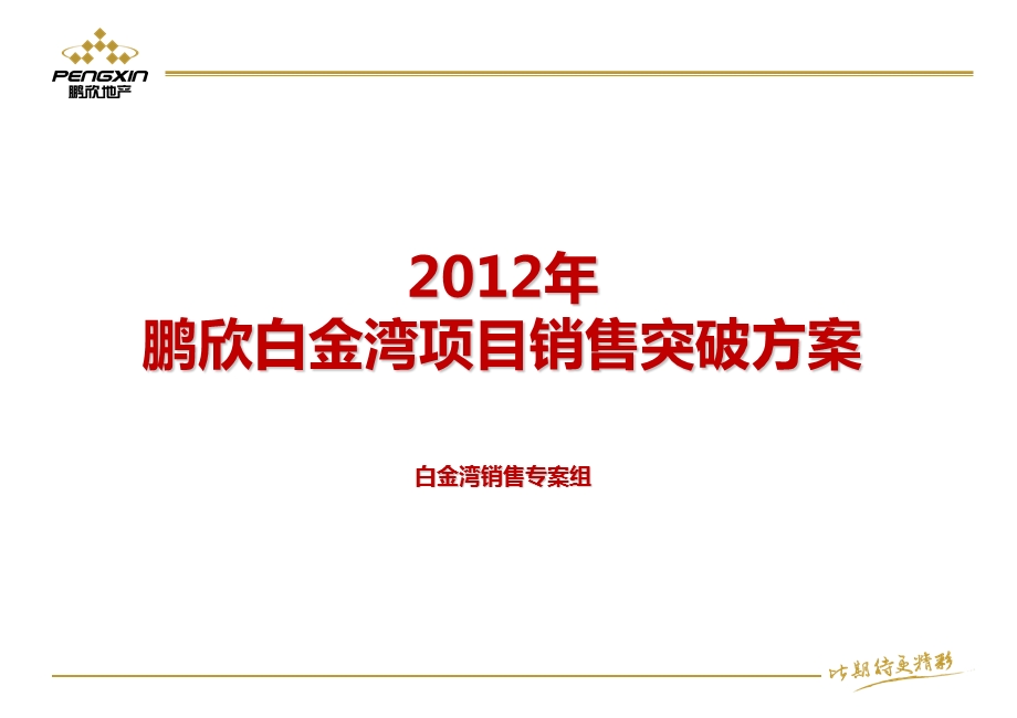 上海鹏欣白金湾项目销售突破方案25P.ppt_第1页