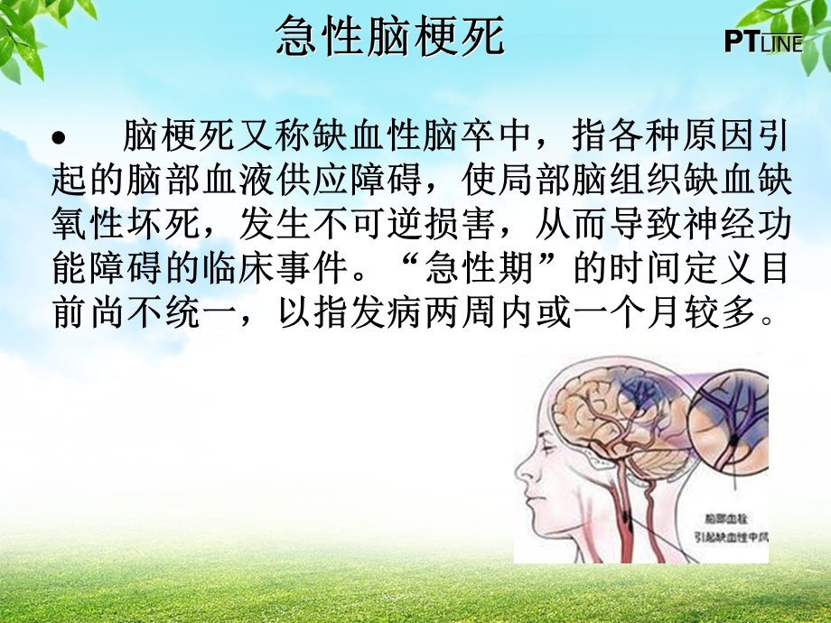 急性脑梗死患者溶栓治疗的观察与护理.ppt_第2页