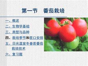 番茄栽培.ppt