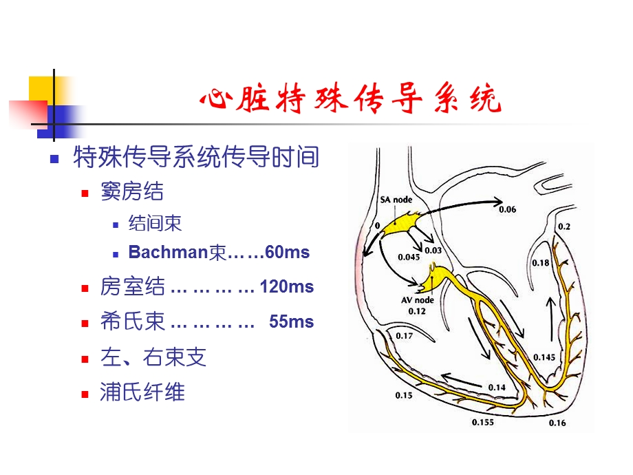 射频消融标测技术要点.ppt_第3页