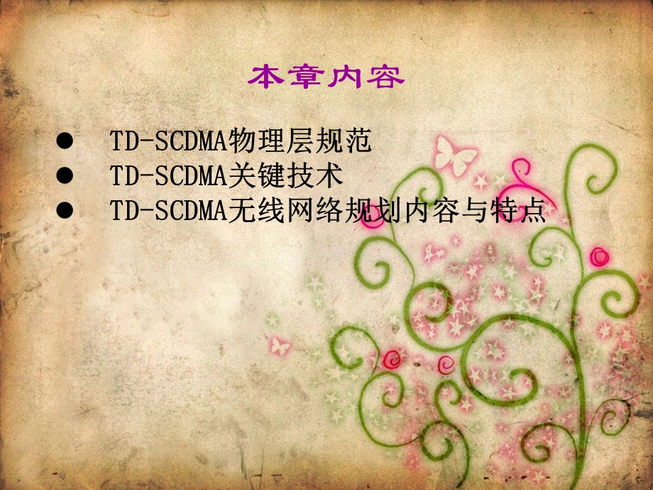 TDSCDMA技术.ppt_第2页