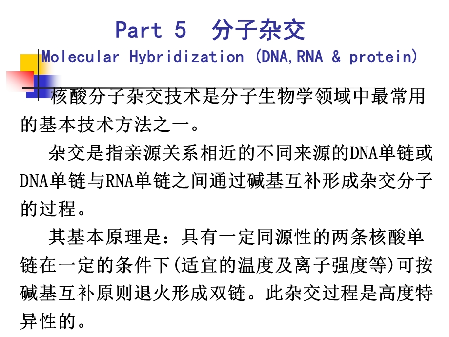 85008640一、核酸分子探针的标记.ppt_第3页