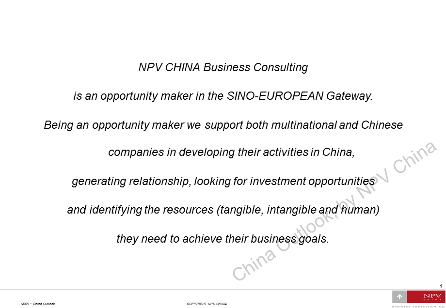 NPVChina Outlook .ppt_第2页