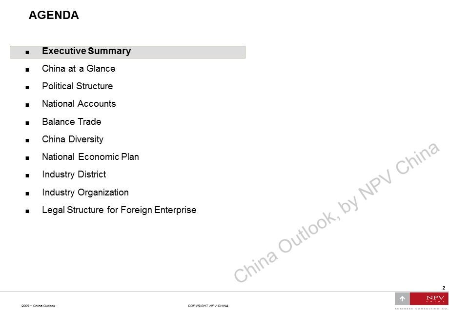 NPVChina Outlook .ppt_第3页