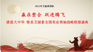 艾丽素夏季全国会策划方案(完整版).ppt