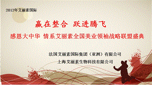 艾丽素2012夏季全国会策划方案(完整版)(1).ppt