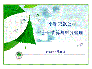 小额贷款公司会计核算财务管理.ppt