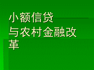 小额信贷与农村金融改革.ppt