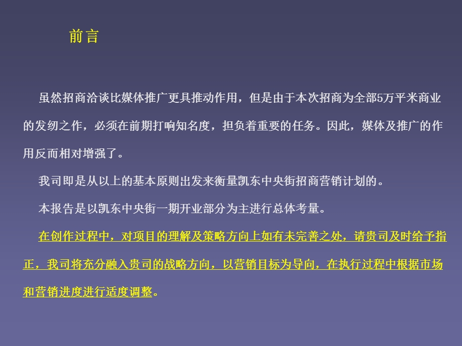 凯东中央街商业招商执行报告(1).ppt_第3页