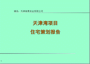 2010年天津湾项目住宅策划报告(2).ppt