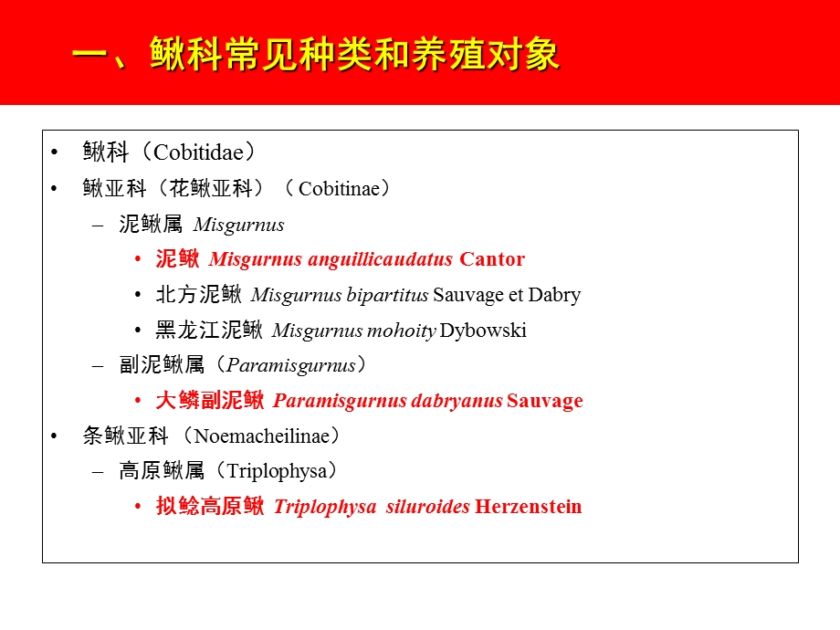 泥鳅养殖.ppt_第2页