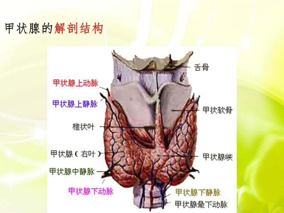 甲状腺腺瘤的护理.ppt_第3页