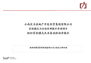 云南实力房地产开发经营集团有限公司组织管控模式及业务流程初步报告.ppt