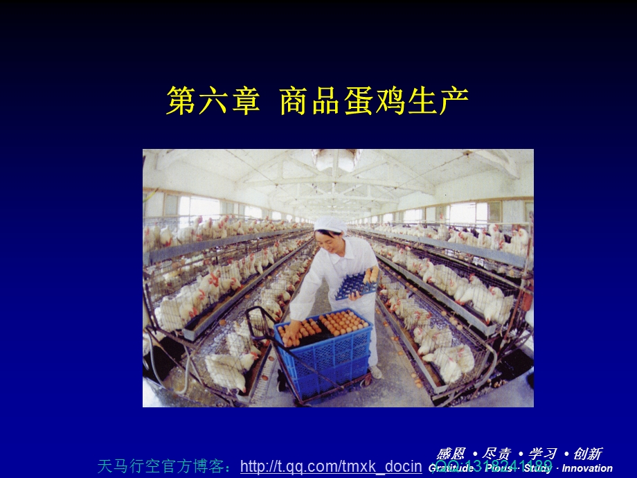 商品蛋鸡生产（PPT 80页） .ppt_第1页