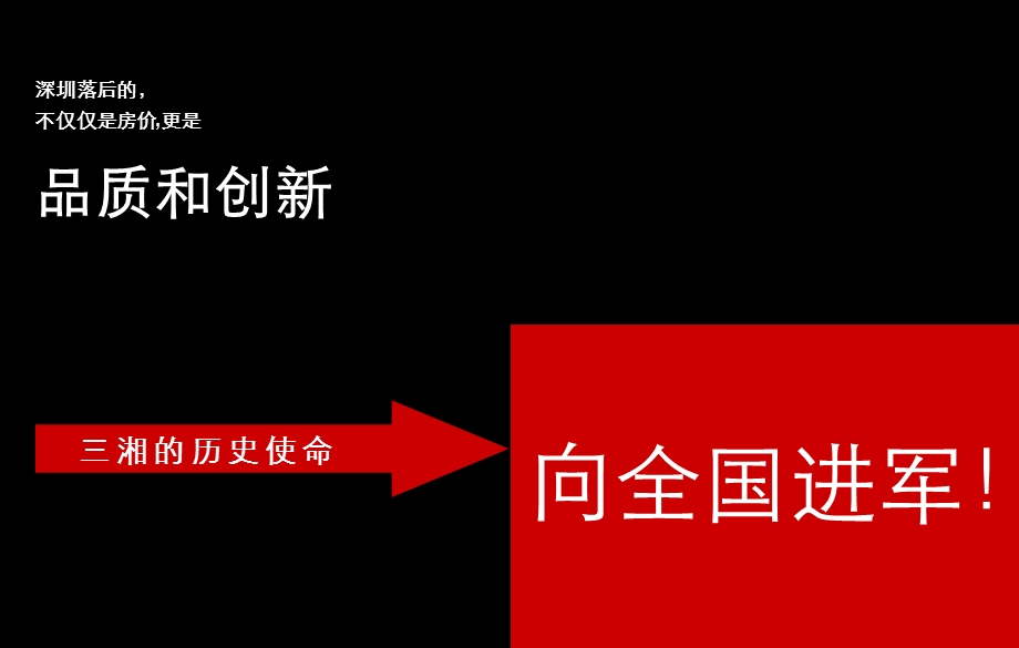 三湘海尚深圳市营销战略成果分享.ppt_第2页