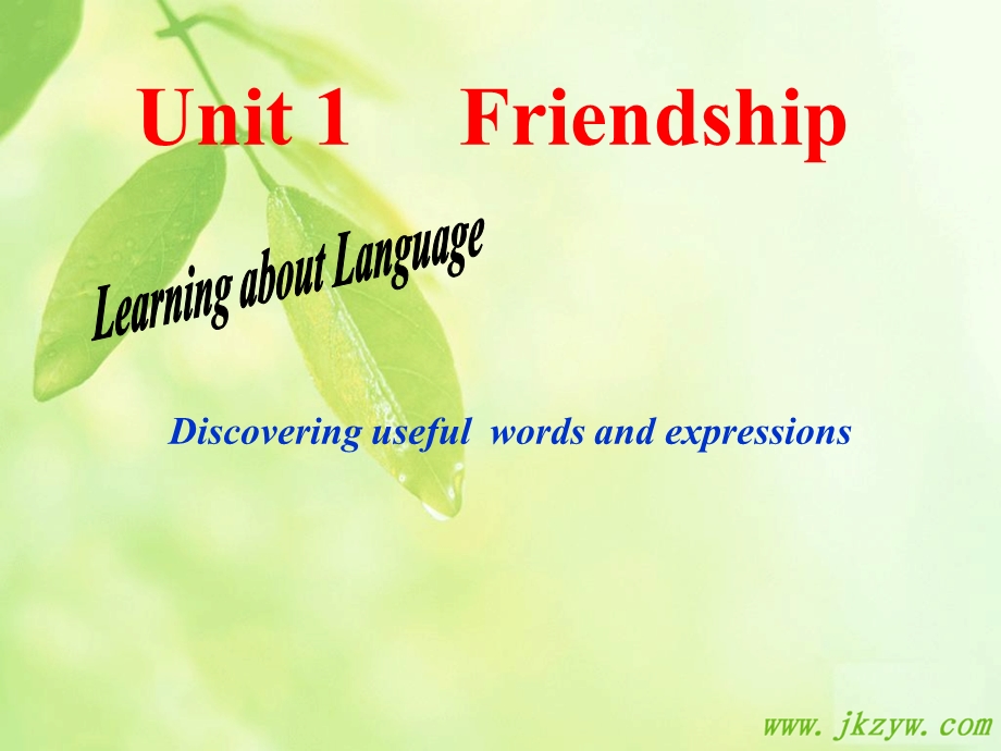 必修一Unit1Friendship(LearningaboutLanguage).ppt_第2页