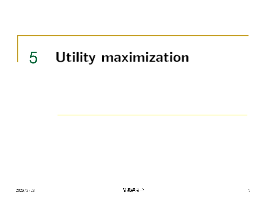 效用最大化高级微观经济学教学课件PPT.ppt_第1页