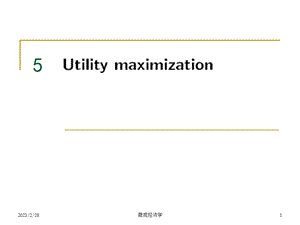 效用最大化高级微观经济学教学课件PPT.ppt