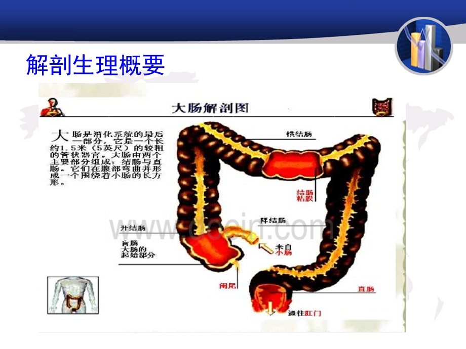 大肠癌病人的护理.ppt_第2页