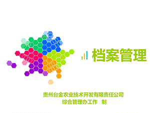 档案管理流程.ppt