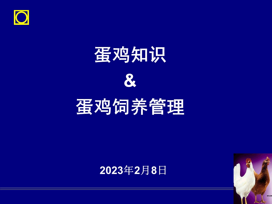 正大蛋鸡知识培训.ppt_第1页