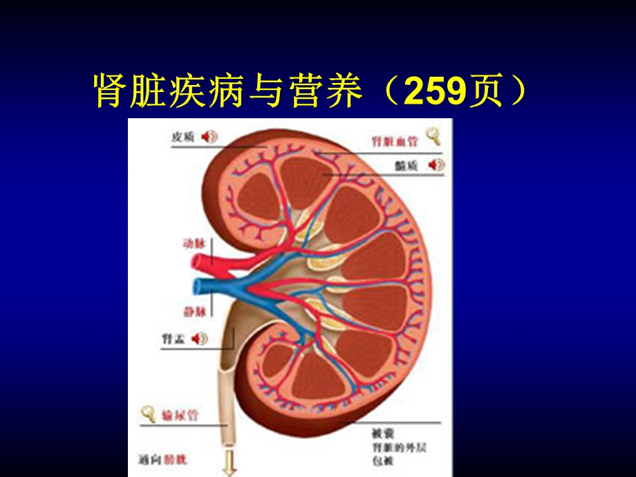 肾脏疾病与营养.ppt_第1页