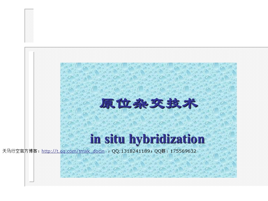原位杂交技术.ppt_第1页