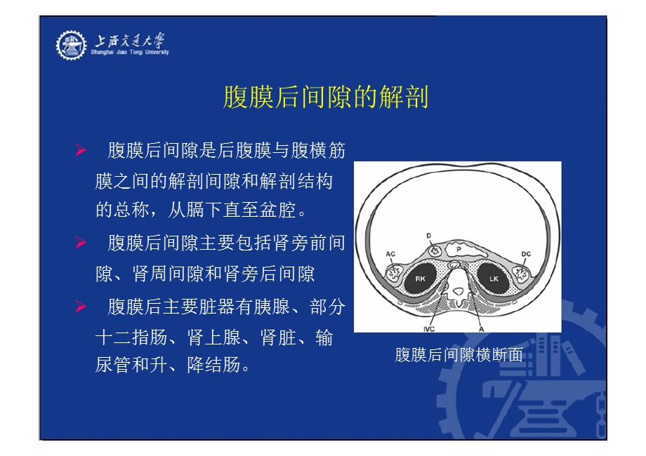 腹膜后间隙病变的影像诊断.ppt_第2页