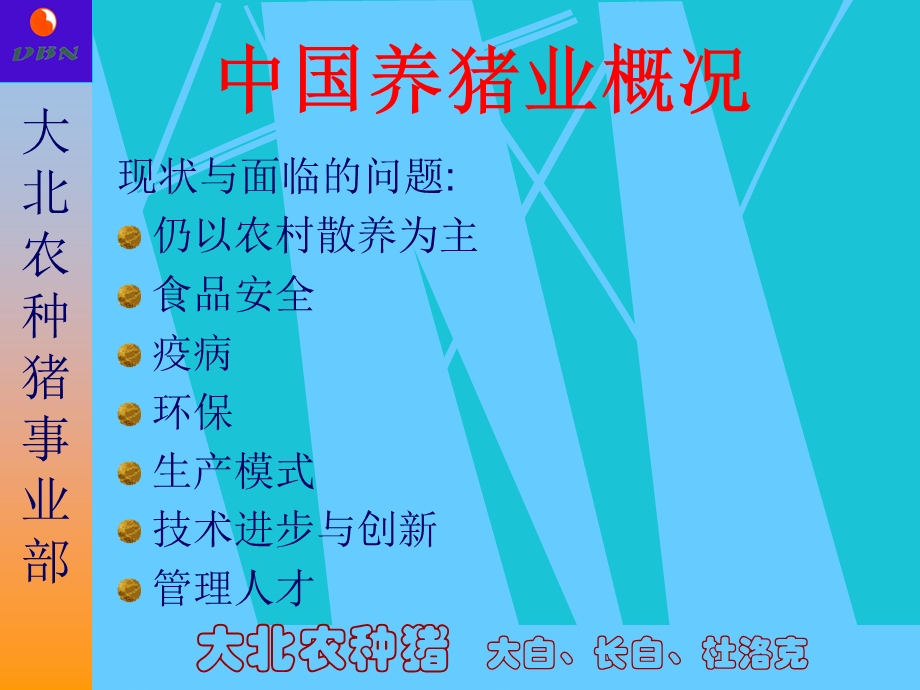 现代规模化猪场饲养管理与疫病控制.ppt_第3页