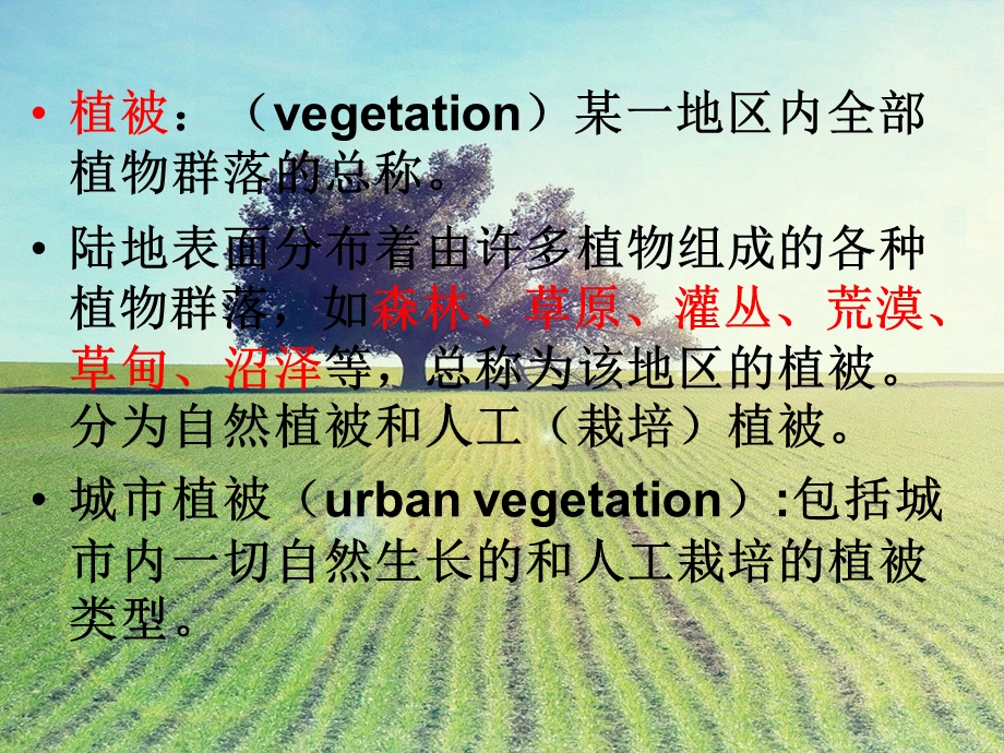 城市植被类型及功能.ppt_第2页