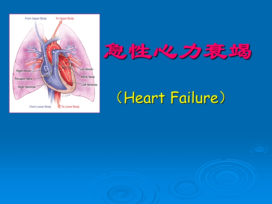 急性心衰.ppt_第1页