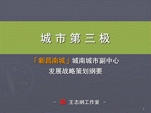 江西新昌南城城南城市副中心展战略策划纲要（王志纲141页） .ppt