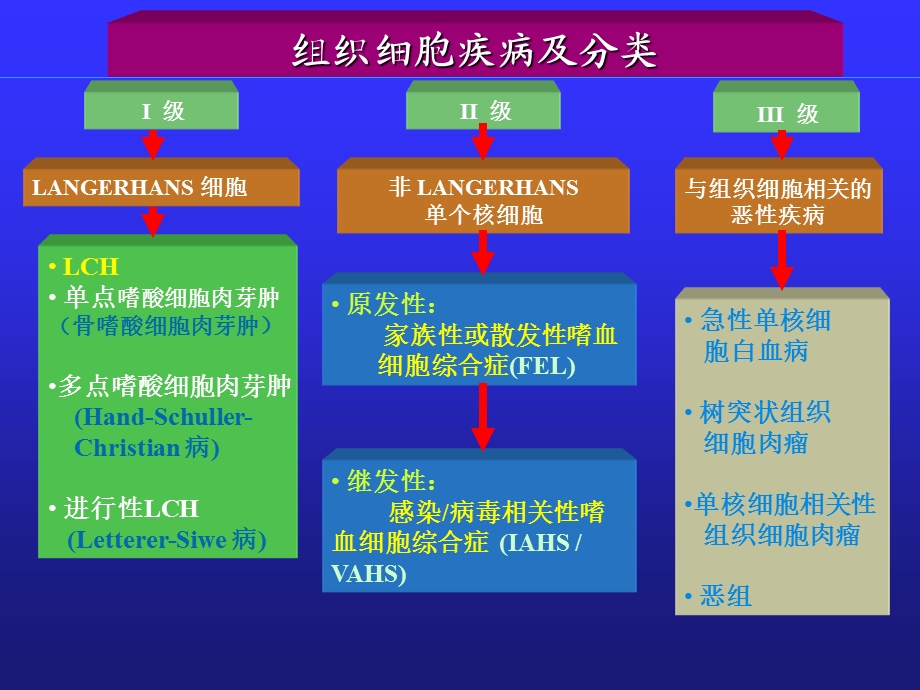 郎格罕细胞组织细胞增生症.ppt_第3页