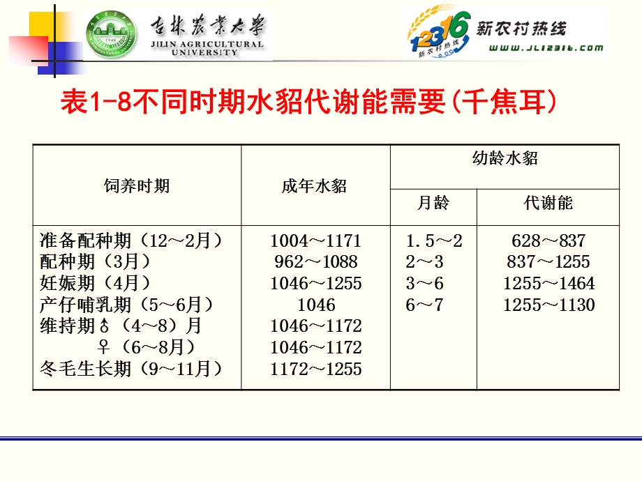 水貂部分3饲养标准与日粮配合.ppt_第3页