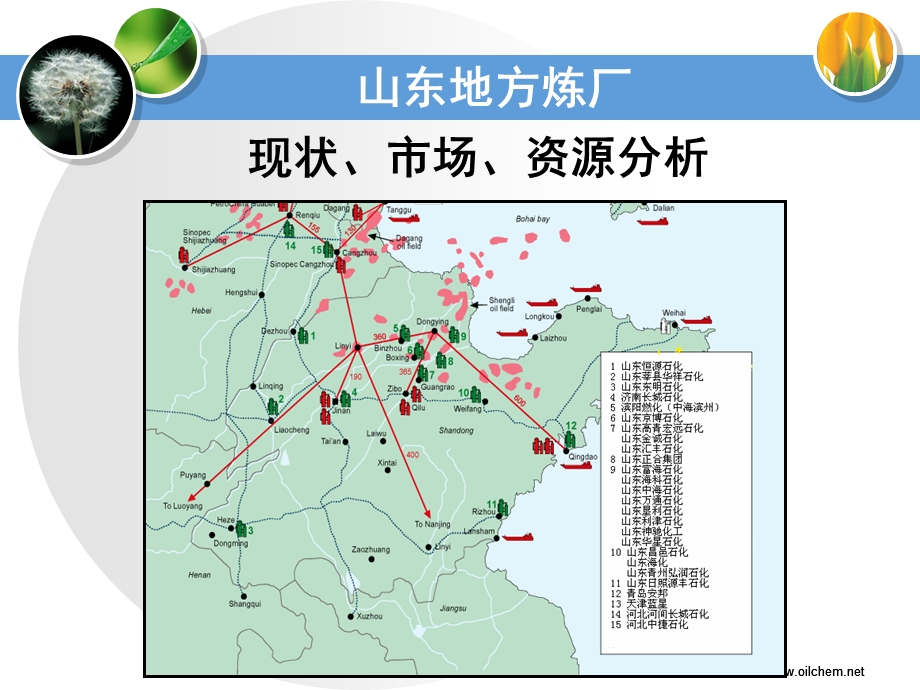 山东地方炼厂现状、市场、资源分析.ppt_第1页