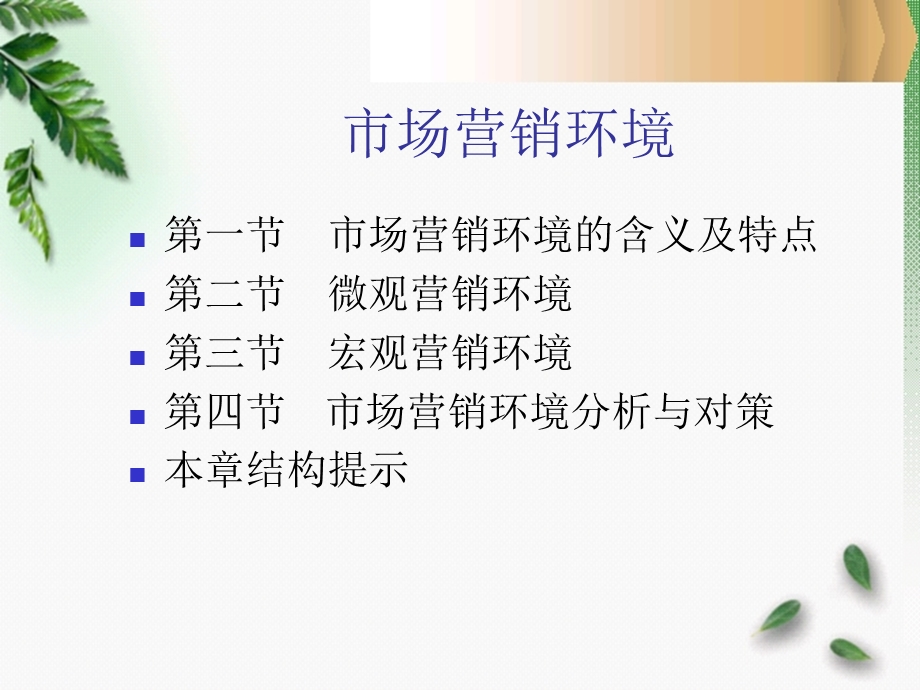 市场营销环境1.ppt_第3页