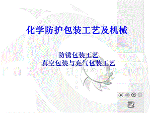 化学防护包装工艺及机械.ppt