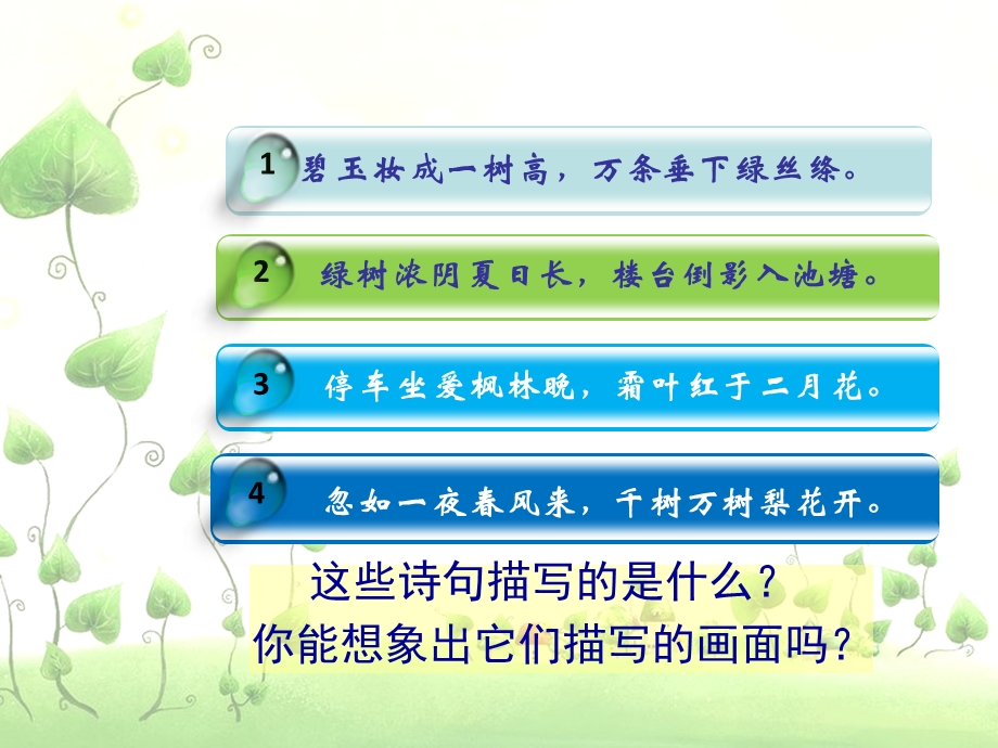 第03课认识身边的树.ppt_第2页