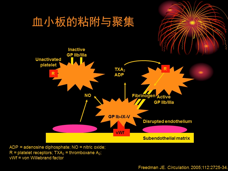 抗血小板治疗药物的合理应用.ppt_第3页