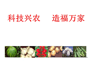 梨树栽培技术.ppt