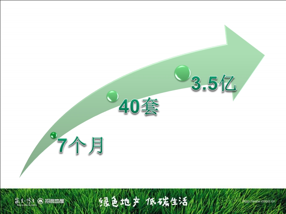 招商地产南京招商依云溪谷四期独一墅营销策划.ppt_第2页