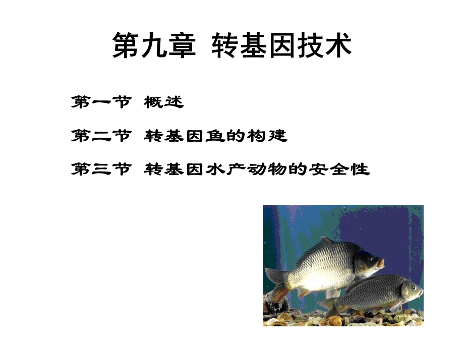 第九章转基因技术.ppt.ppt_第1页