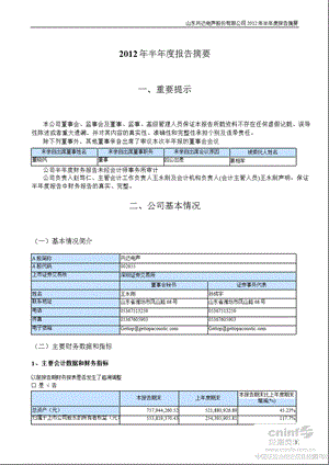 共达电声：半报告摘要.ppt