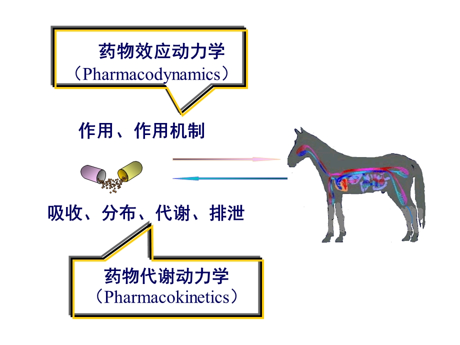 总论兽药08.ppt_第3页