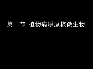 园林植物病理学第三章植物病原细菌和其它原核生物.ppt