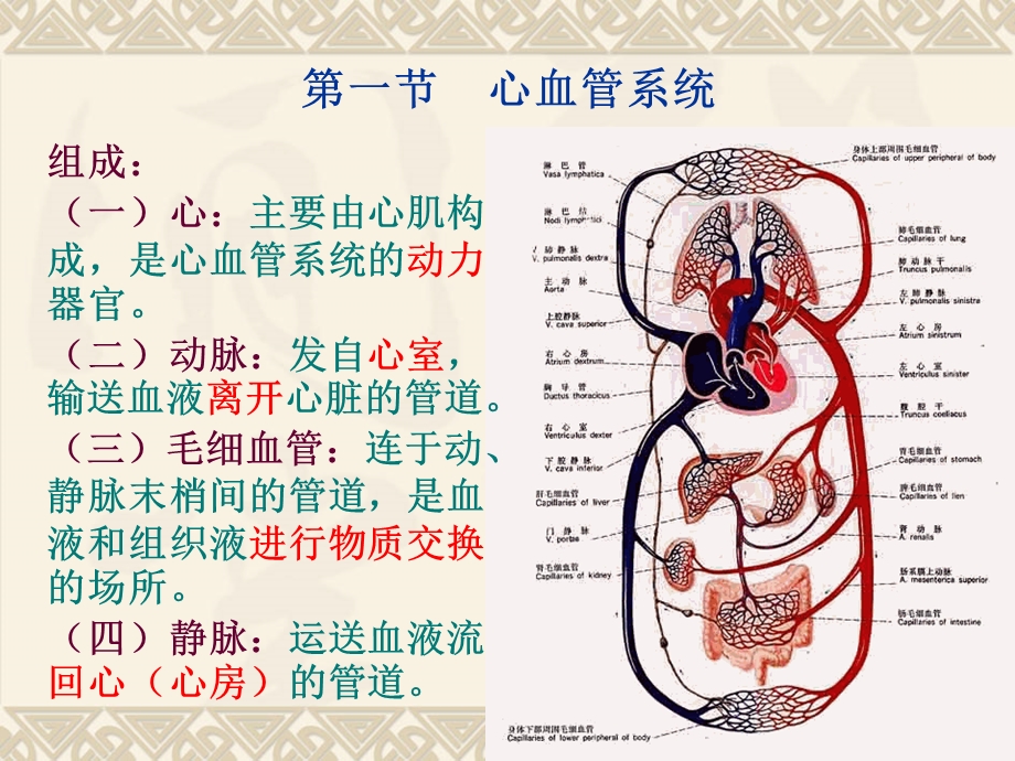 心血管系统常见疾病的药物治疗(李杰文).ppt_第2页