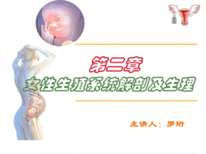 妇产科第二章女性生殖系统解剖及生理资料.ppt