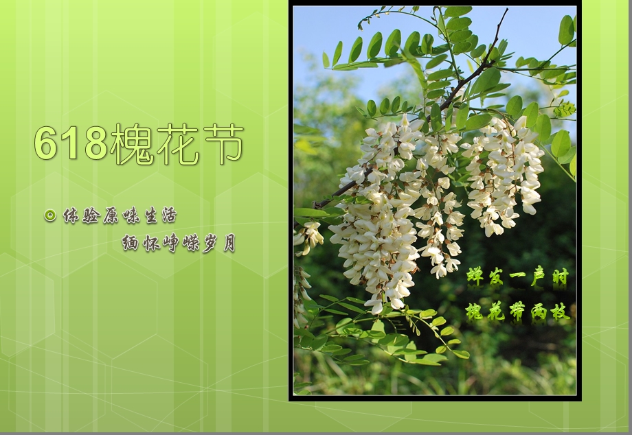 山东淄博618槐花节活动策划方案.ppt_第1页